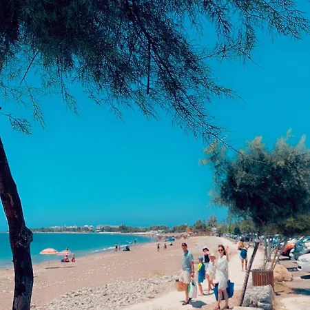 度假居 Hermine Paphos *