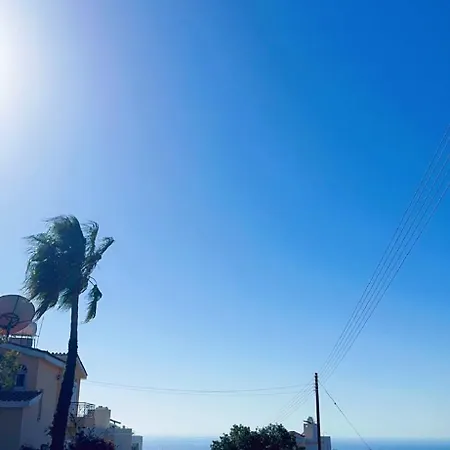Hermine Paphos Konia