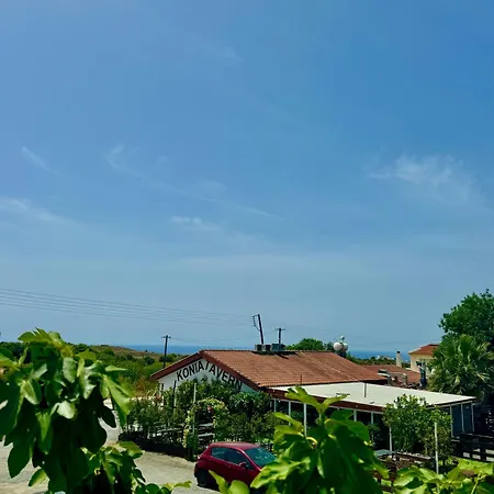 Hermine Paphos Konia